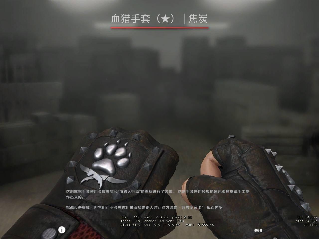 黑色大姐姐CSGO：突破记录的传奇