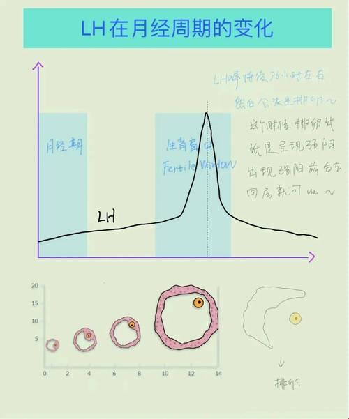 《玩转“高能对撞”，笑看科技风云》