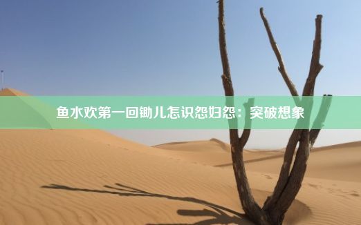 鱼水欢第一回锄儿怎识怨妇怨：突破想象