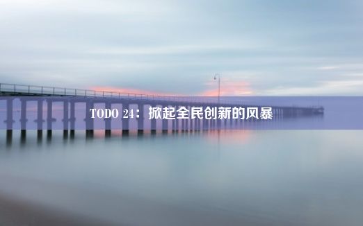 TODO 24：掀起全民创新的风暴