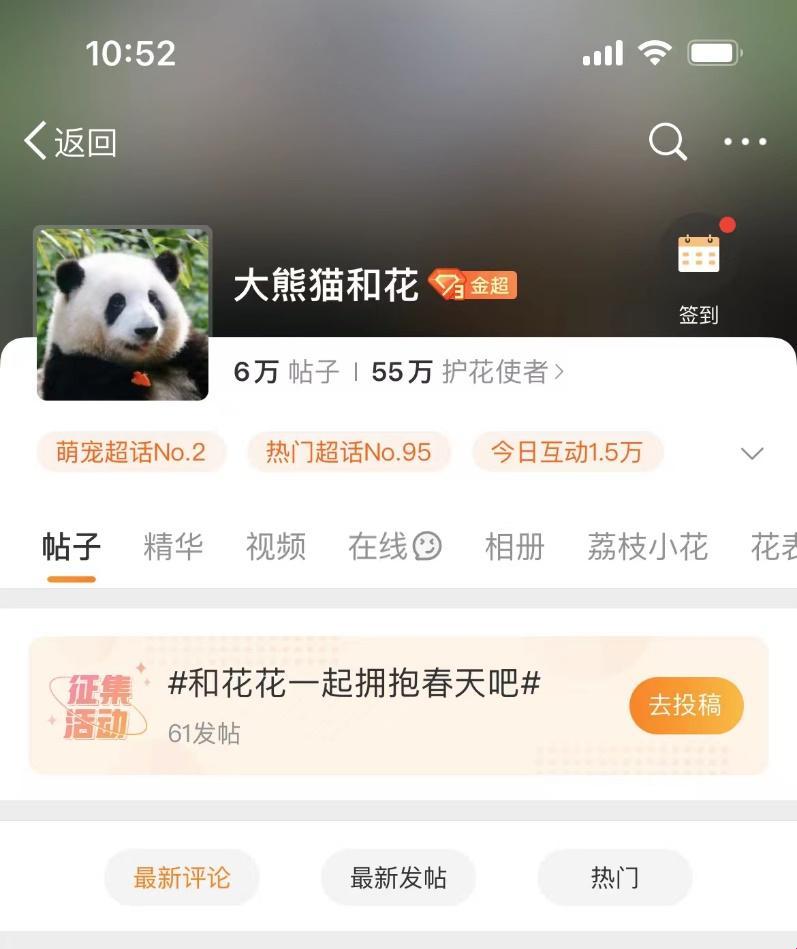 《滚滚红尘，熊猫粉丝的萌战局》