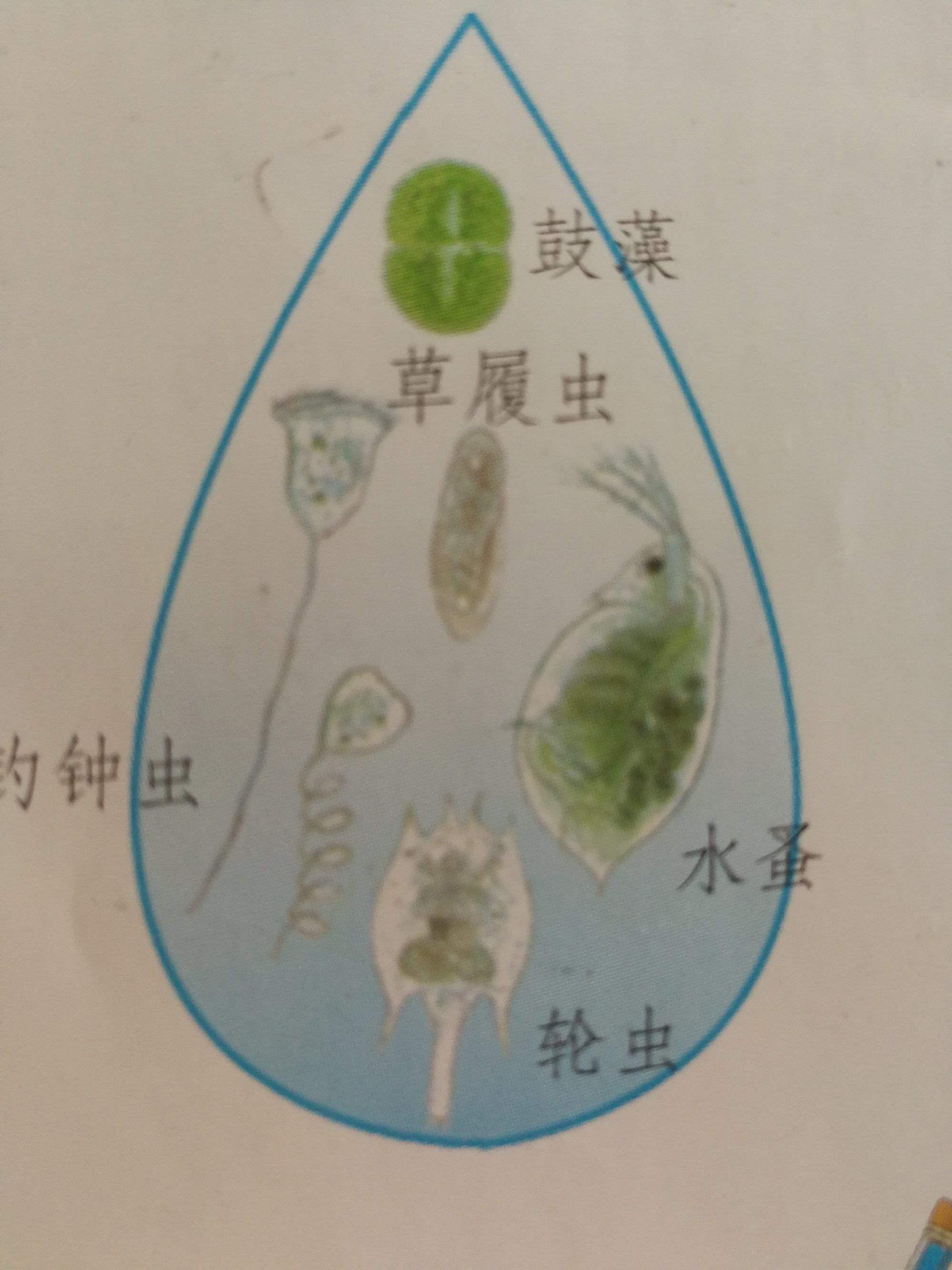 “潮起‘水秘密’，笑谈科技风流”