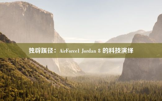 独辟蹊径：AirForce1 Jordan 8 的科技演绎