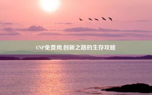 CNP免费用,创新之路的生存攻略