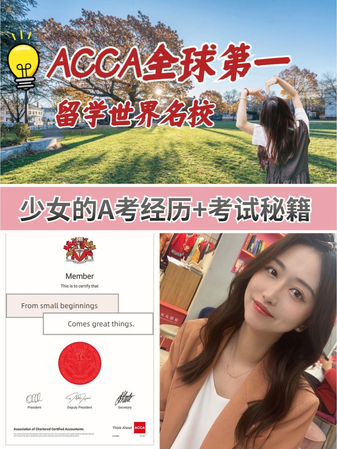 “ACCA少女”真相揭秘：正规军还是冒牌货？