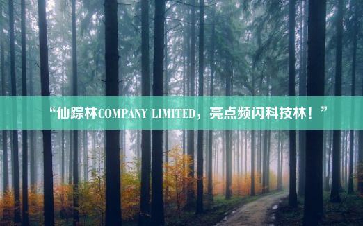 “仙踪林COMPANY LIMITED，亮点频闪科技林！”