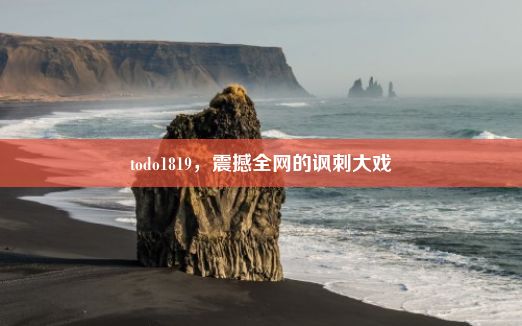 todo1819，震撼全网的讽刺大戏