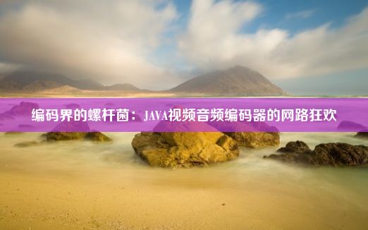 编码界的螺杆菌：JAVA视频音频编码器的网路狂欢