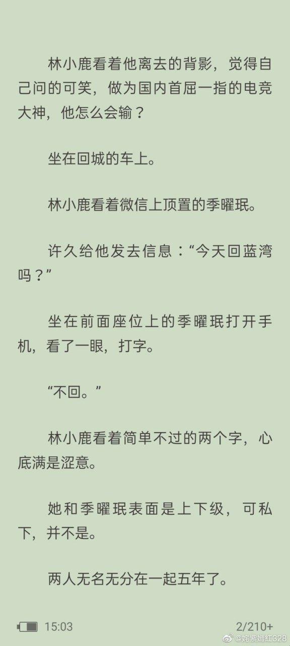 电竞狂潮中的林小鹿与季曜珉：新锐势力笑傲江湖