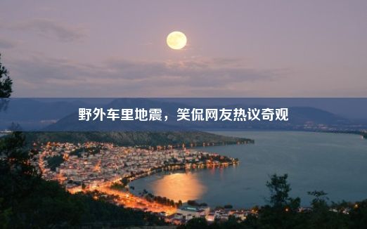 野外车里地震，笑侃网友热议奇观