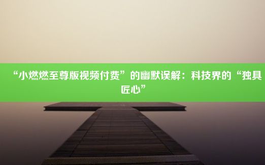 “小燃燃至尊版视频付费”的幽默误解：科技界的“独具匠心”