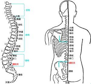 腰沉刺时代，笑谈科技花