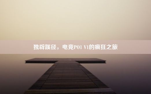 独辟蹊径，电竞PO1 V1的疯狂之旅