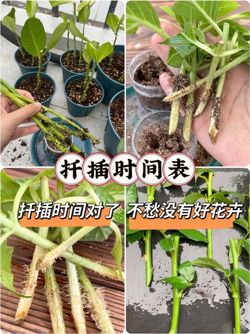 45分钟插花72变，科技界的新潮流你跟上了吗？