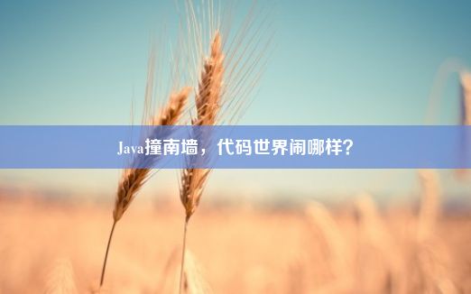 Java撞南墙，代码世界闹哪样？