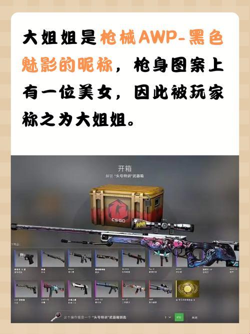 “CSGO大姐大揭秘：枪界女神的花落谁家？”