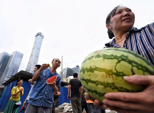 朝阳吃瓜侠: 键盘下的笑谈与自嘲