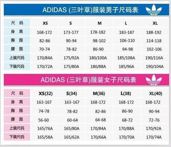 三叶草L码传奇：科技界的神秘地带