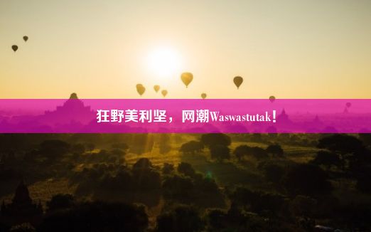 狂野美利坚，网潮Waswastutak！