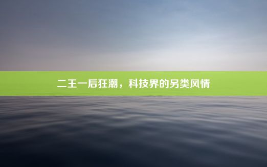 二王一后狂潮，科技界的另类风情