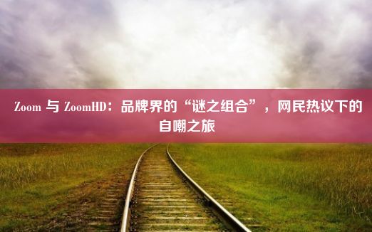  Zoom 与 ZoomHD：品牌界的“谜之组合”，网民热议下的自嘲之旅