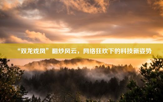 “双龙戏凤”翻炒风云，网络狂欢下的科技新姿势