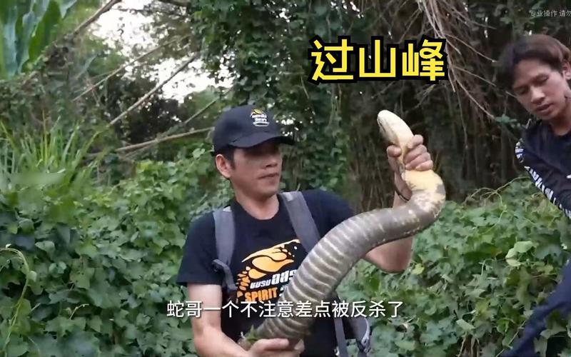 “抓班主任”的山峰视频：潮流引领者的另类姿态