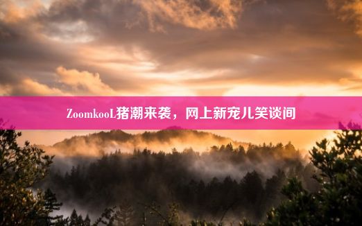 ZoomkooL猪潮来袭，网上新宠儿笑谈间