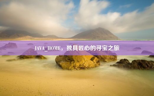 JAVA_HOME，独具匠心的寻宝之旅