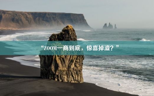 “ZOOM一商到底，惊喜掉渣？”