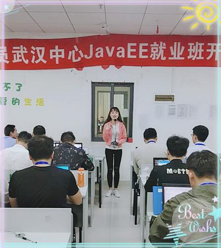 码农新宠，Java老师引领风骚