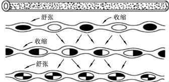 爬行者的困局：肠断蔓绕，引人入胜的科技奇观