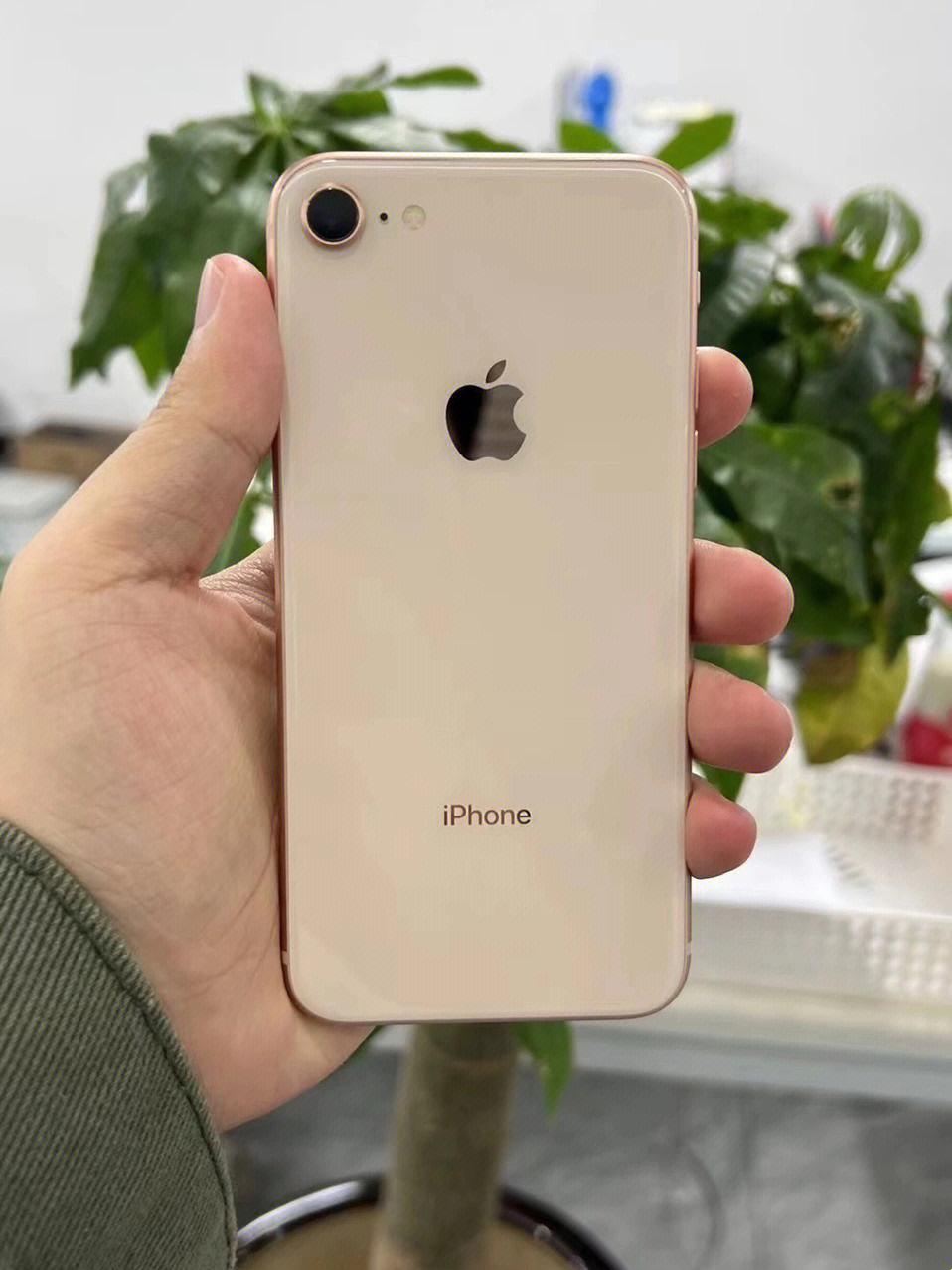 俄式苹果传奇：网民众嘲iPhone8，科技界的新笑话