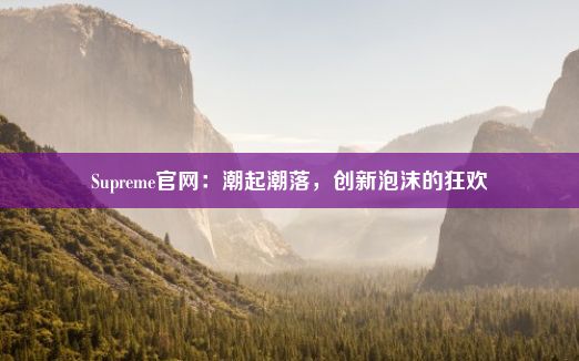 Supreme官网：潮起潮落，创新泡沫的狂欢