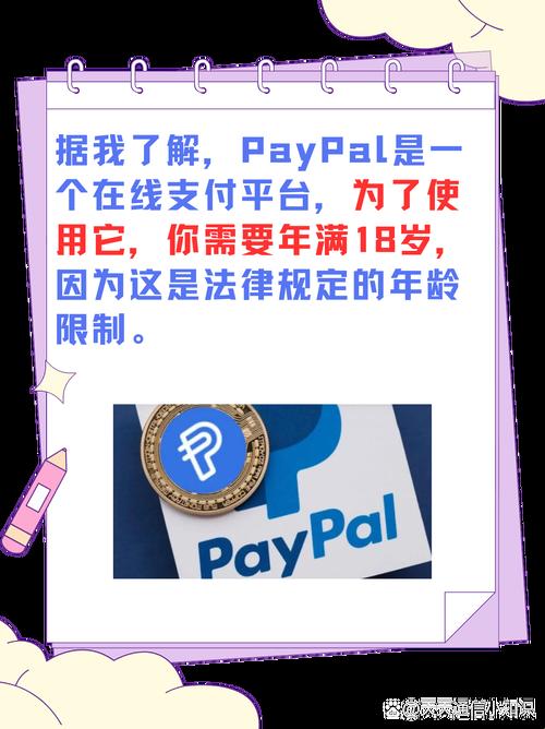 未成年冲浪PayPal：逆袭宝典网上飞