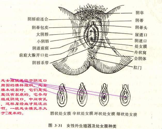 “大妈”变“女神”，科技界的这场革命你绝对想不到！