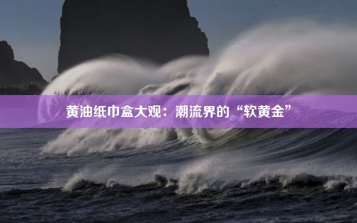 黄油纸巾盒大观：潮流界的“软黄金”