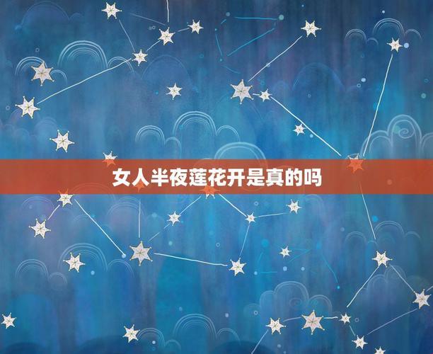 《夜半莲花，创新绽放》