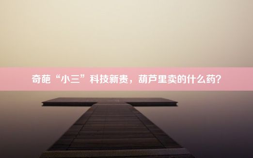 奇葩“小三”科技新贵，葫芦里卖的什么药？