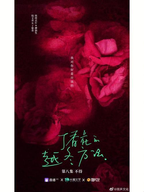 《丁香花影，小说界的“高清风暴”》