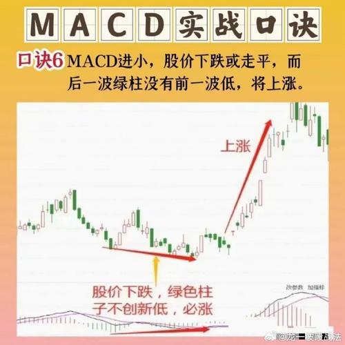 MACD狂潮：科技界的诡辩新宠